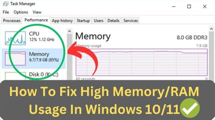 Abnormally high memory usage on Windows 10