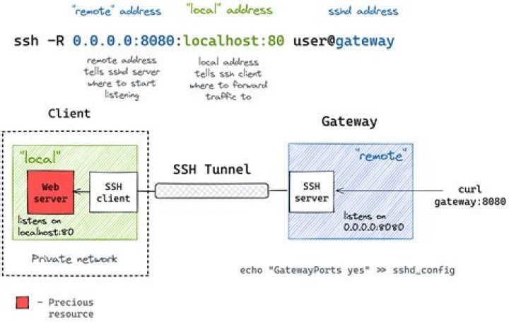Accessing a URL on SSH without using a web browser