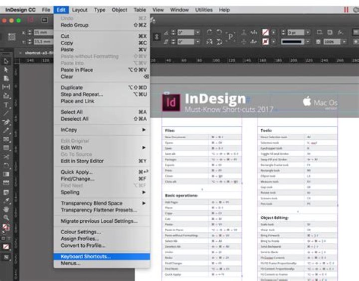 Adobe InDesign Ctrl+Tab'ing: can you make it cycle in tab order, instead of 'last used' order?