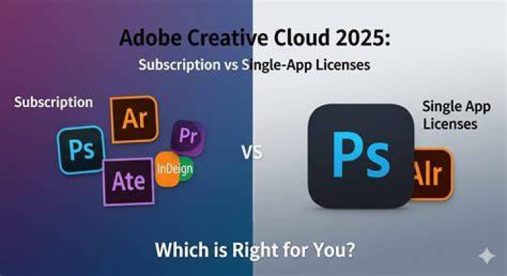 Adobe Search options