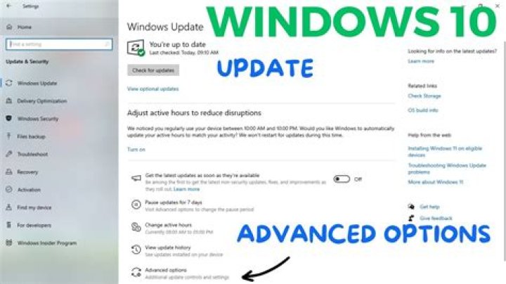 Advanced Windows Update Options