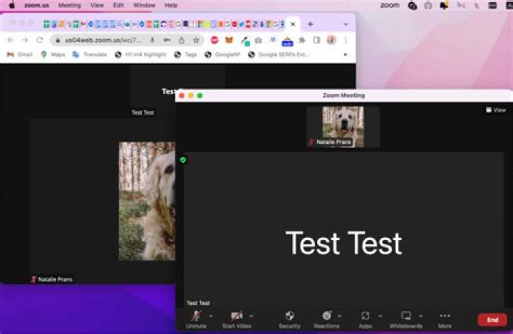 After zooming with the Zoom Text Only extension