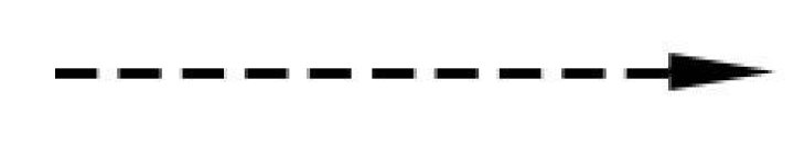 Arrow drawn successfully with dashes