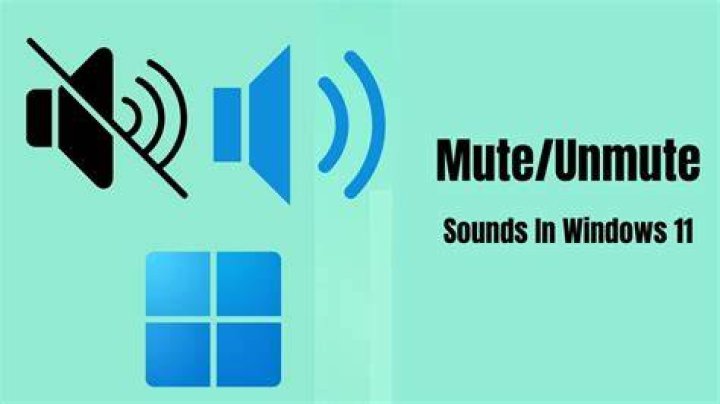 Audio doesn't works after I mute and unmute it