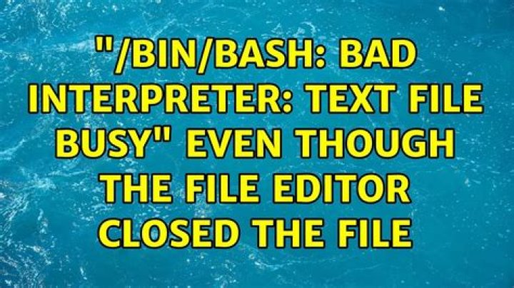 "/bin/bash: bad interpreter: Text file busy" even though the file editor closed the file