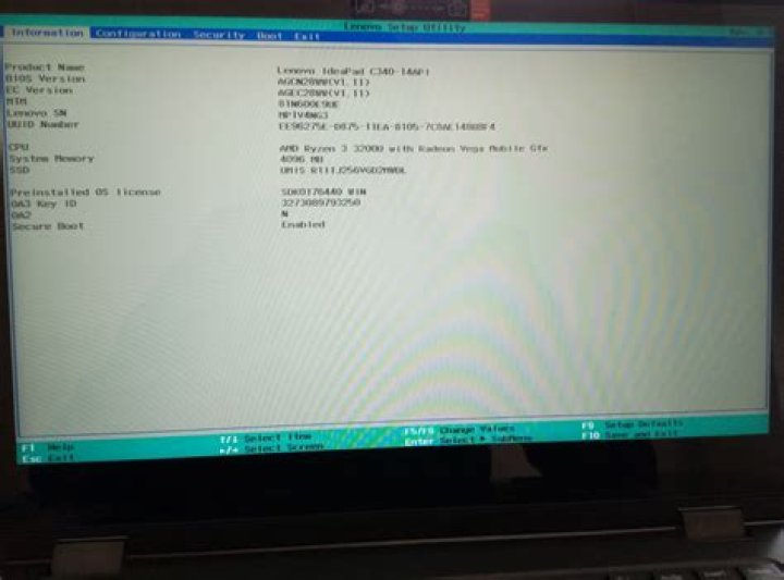 BIOS screen