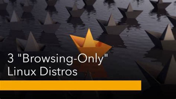 Browser only linux distribution