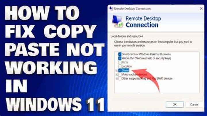 Can't copy and paste in Remote Desktop Connection session