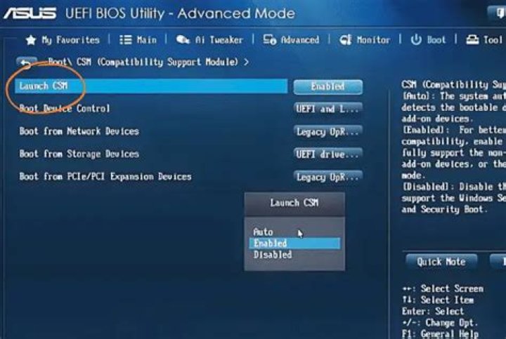 Can a computer run basic display without any GPU of any type