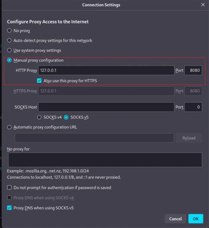 Can a web application detect browser proxy settings?