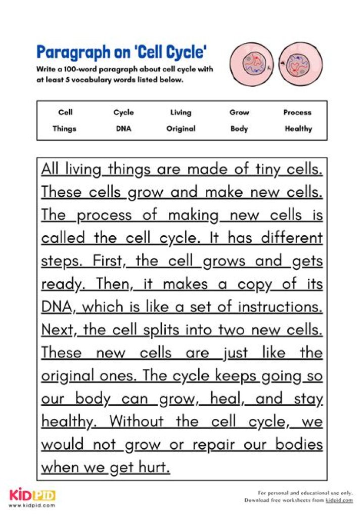 Cell paragraph example