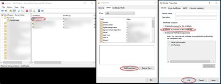 Certmgr Workflow to disable certificate
