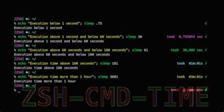 Change the output format of zsh's time