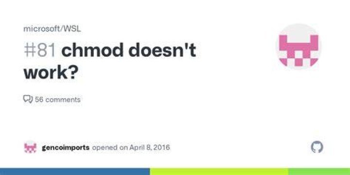 "chmod" doesn't work