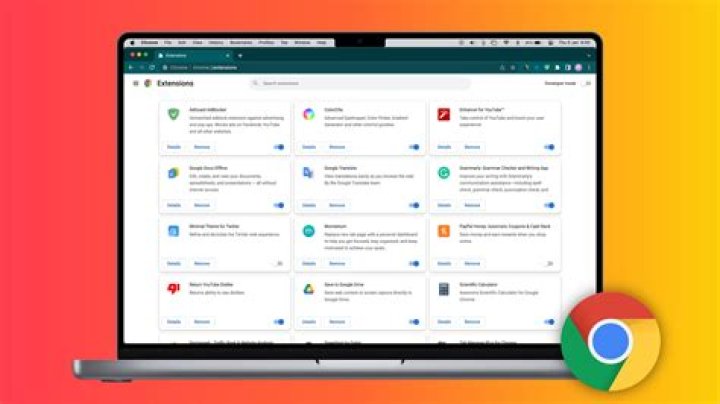 Chrome Plug-ins manager