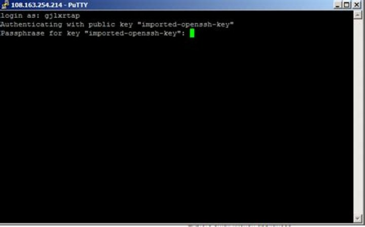 Command line not letting me type password in PuTTY