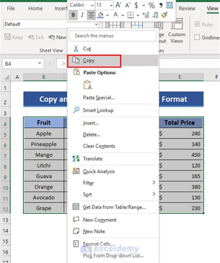 Copy from Excel Copy from Excel