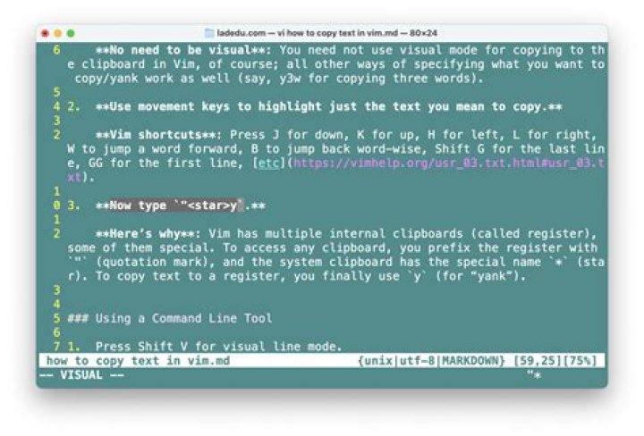 Copy to system clipboard instead of vim buffer
