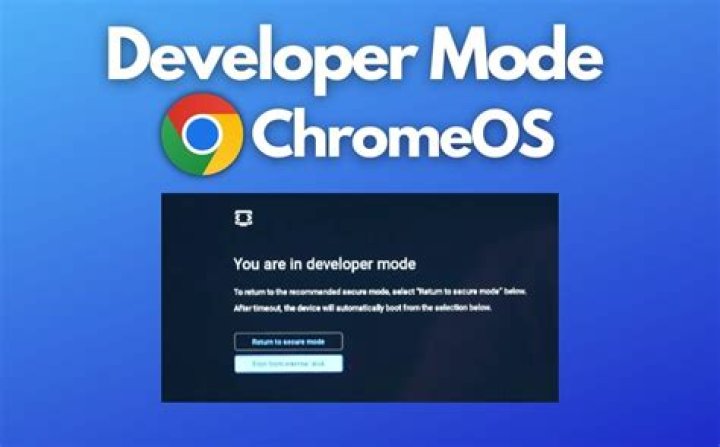 Developer Mode.png