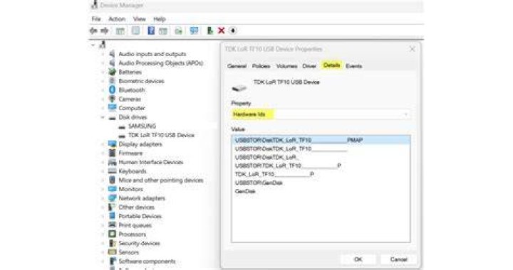 DeviceManager