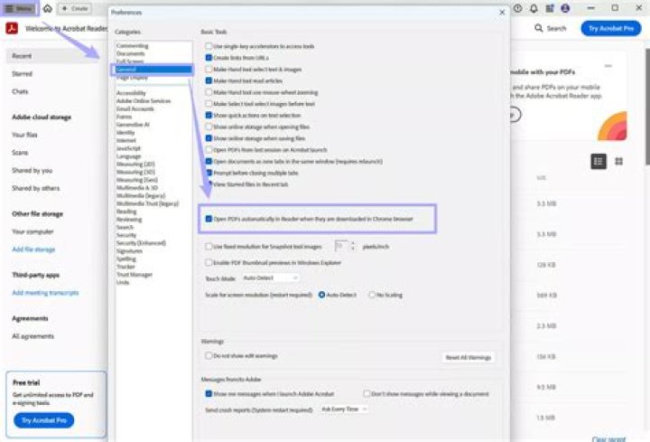 Disable Adobe PDF Reader addon
