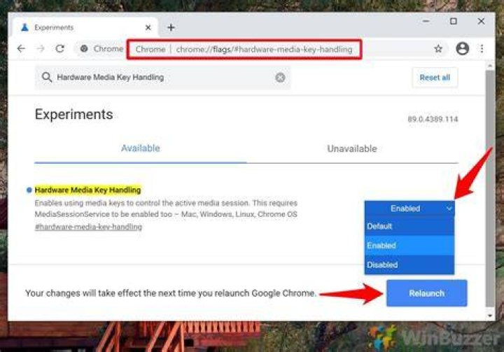 Disable only part of the media session service for chrome