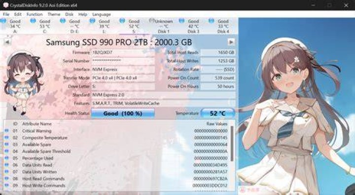 Disk info