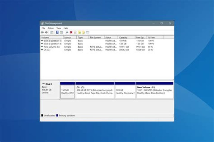 Disk Manager