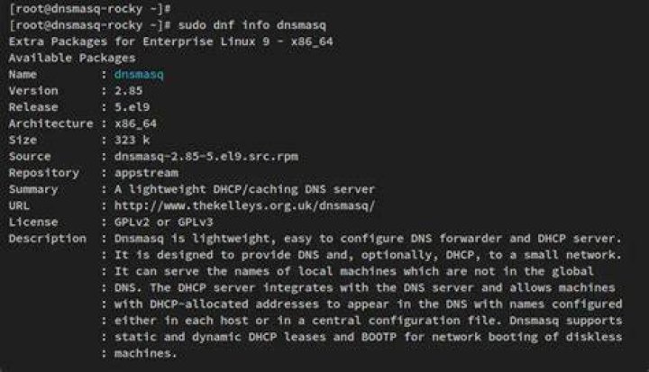 dnsmasq fails to answer queries on ubuntu 16.04