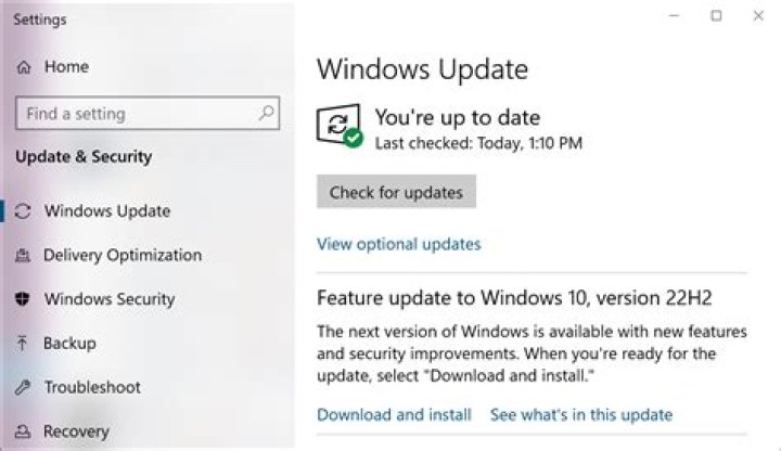 Downloading Windows 10 21H2 wrong build
