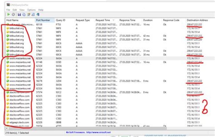 Duplicated DNS lookups