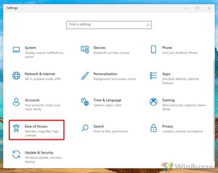 Ease of access English version