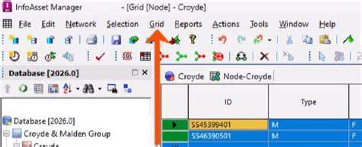 Edit Grid Window