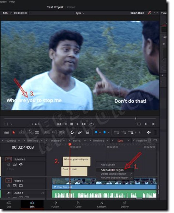 Editing subtitle tracks
