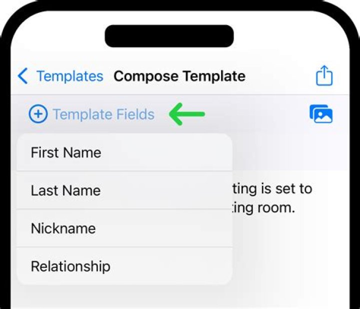 Email compose show fields