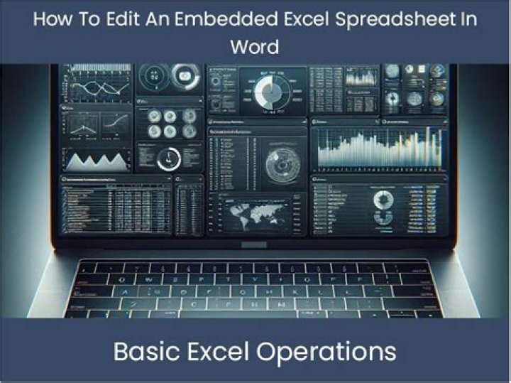 Embedded Spreadsheet