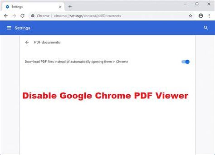 Error in Google Chrome pdf viewer