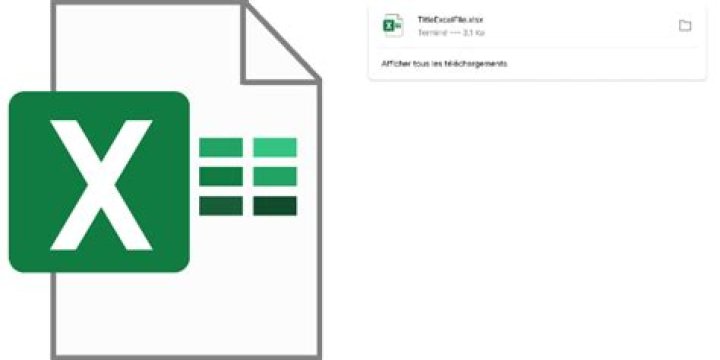Excel file
