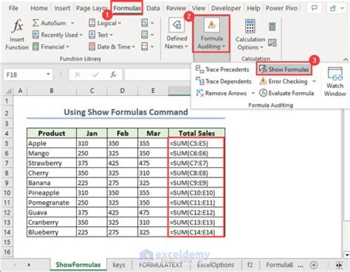 Excel formula to show FORMULA