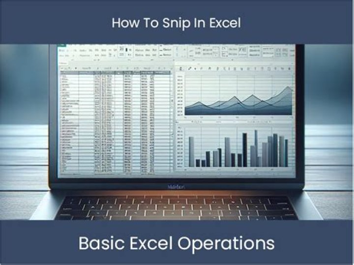 Excel snip