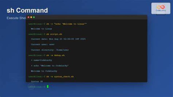 Execute two or more commands simultaneously in shell script