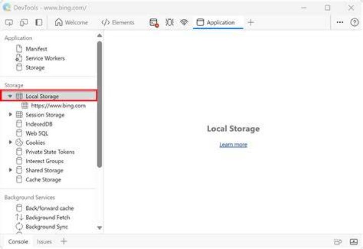Find out what is setting local storage