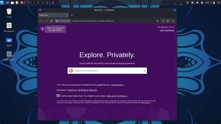 Firstly I started tor service