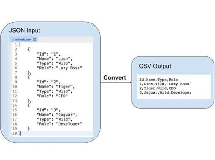 How can I convert my Bash script output to JSON and save it as “.json” file?