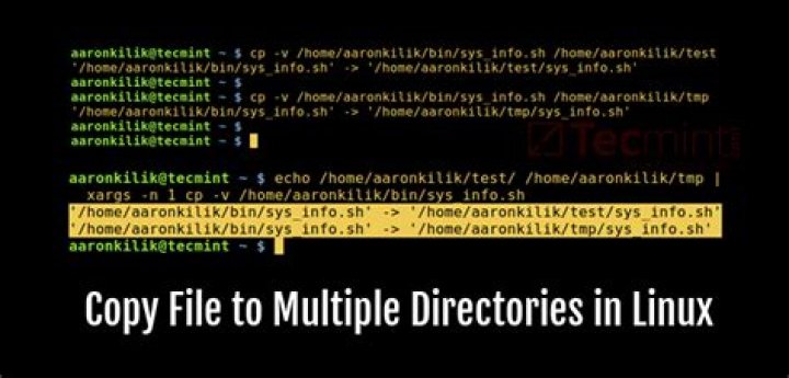 How can I copy multiple files in different directories using the Linux cp command?