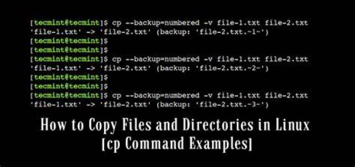 How can I copy(or move) and rename multiple files from different directories using the unix cp command?