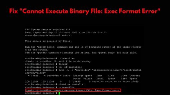 How can I resolve the error "cannot execute binary file"?