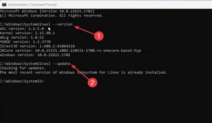 How can I update WSL2 kernel?