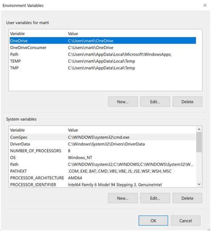 How do I add Environment Variables of Chrome in Windows 10?