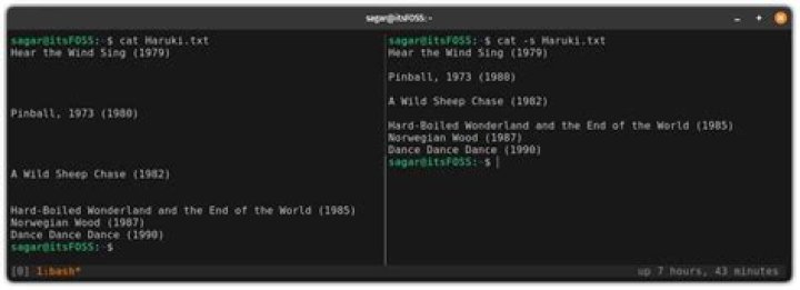 How do I close a file that I created using cat > command?